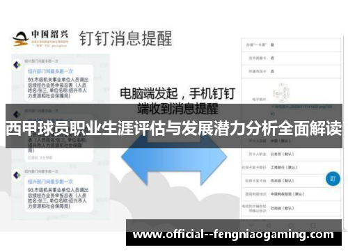 西甲球员职业生涯评估与发展潜力分析全面解读 西甲球员职业生涯评估与发展潜力分析全面解读