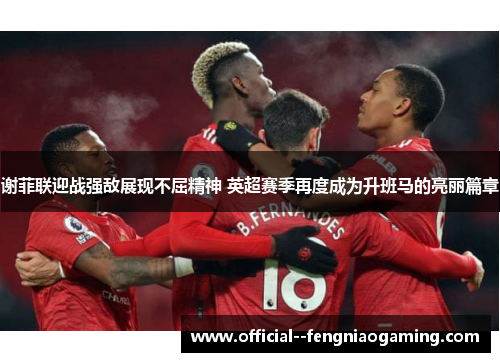 谢菲联迎战强敌展现不屈精神 英超赛季再度成为升班马的亮丽篇章 谢菲联迎战强敌展现不屈精神 英超赛季再度成为升班马的亮丽篇章