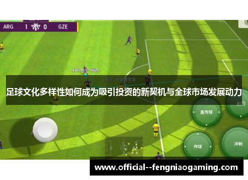 足球文化多样性如何成为吸引投资的新契机与全球市场发展动力 足球文化多样性如何成为吸引投资的新契机与全球市场发展动力