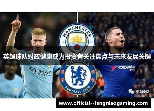 英超球队财政健康成为投资者关注焦点与未来发展关键