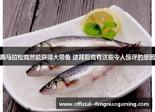 跑马拉松竟然能获得大带鱼 这背后竟有这些令人惊讶的原因