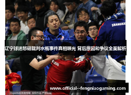 辽宁球迷怒砸裁判水瓶事件真相曝光 背后原因和争议全面解析