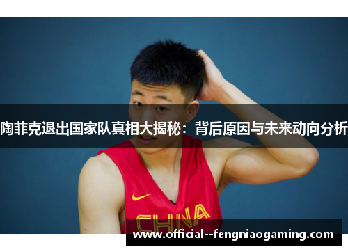 陶菲克退出国家队真相大揭秘：背后原因与未来动向分析