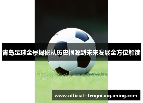青岛足球全景揭秘从历史根源到未来发展全方位解读 青岛足球全景揭秘从历史根源到未来发展全方位解读