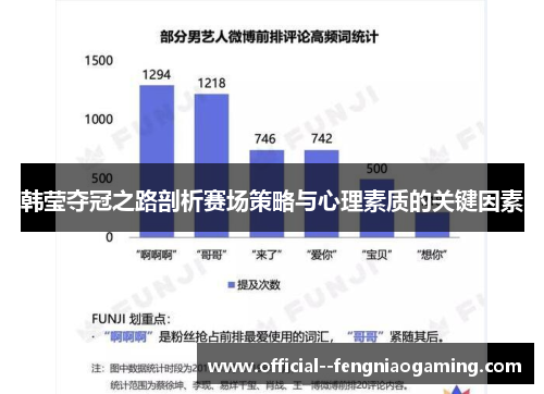 韩莹夺冠之路剖析赛场策略与心理素质的关键因素 韩莹夺冠之路剖析赛场策略与心理素质的关键因素